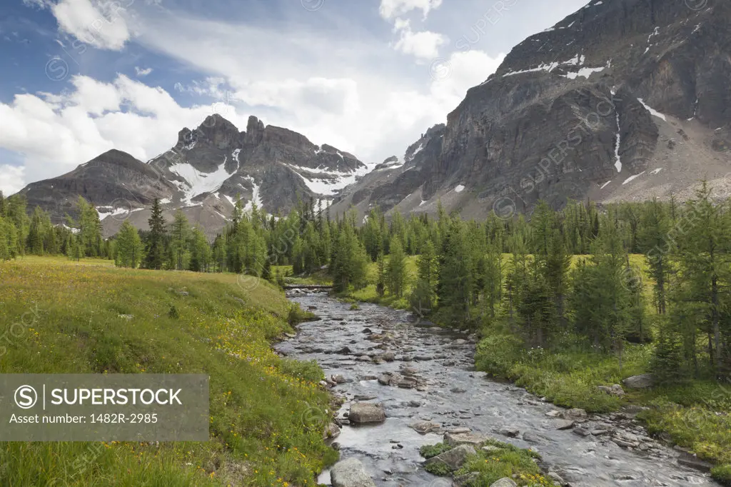 Canada, Mount Assiniboine Provincial Park, Gog Lake meadows, The Towers and Naiset Point, Gog lake outlet