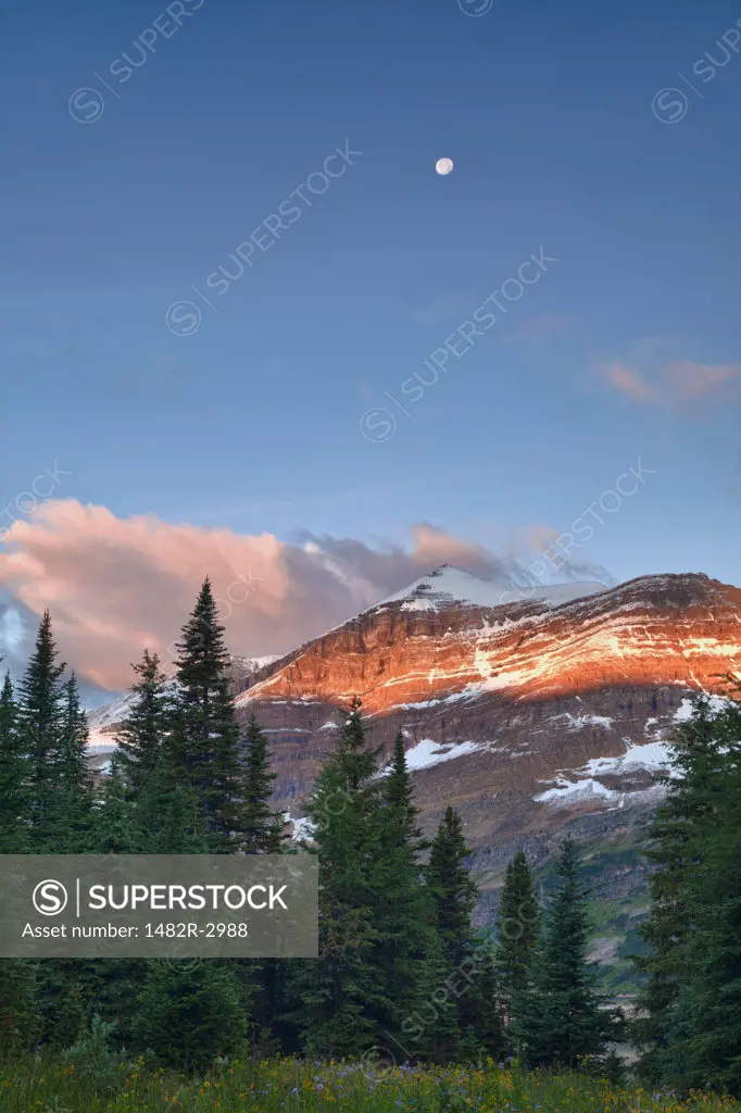 Canada, Mount Assiniboine Provincial Park, Magog Creek meadow at sunrise