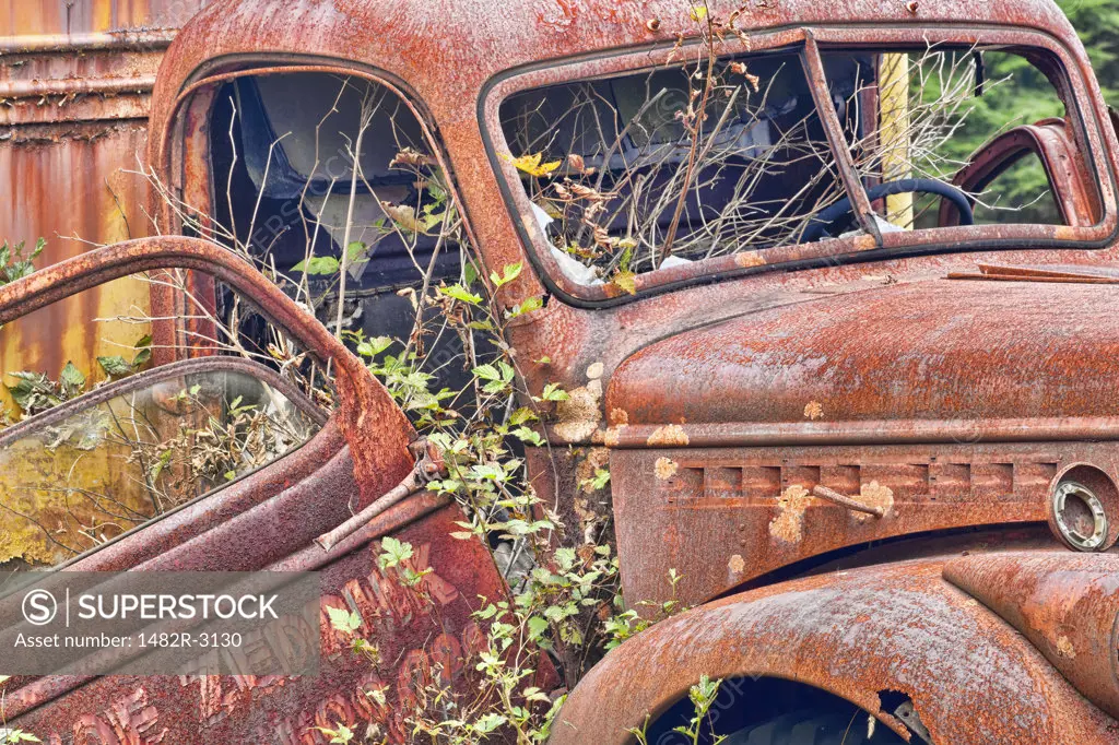 Abandoned truck, Kestner Homestead, Quinault Rainforest, Olympic National Park, Washington State, USA