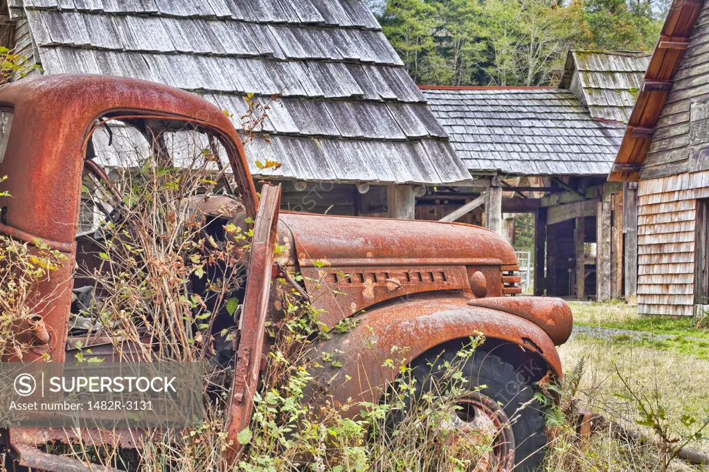Abandoned truck, Kestner Homestead, Quinault Rainforest, Olympic National Park, Washington State, USA