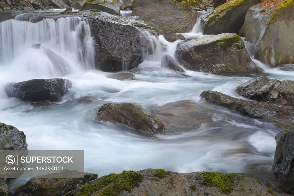 Rapids in the North Fork Skokomish River, Washington State, USA