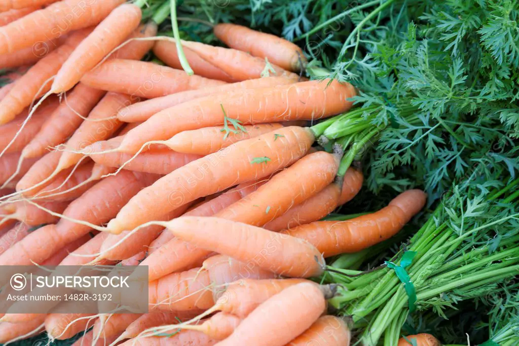 USA, California, La Jolla Farmer's Market, Organic carrots