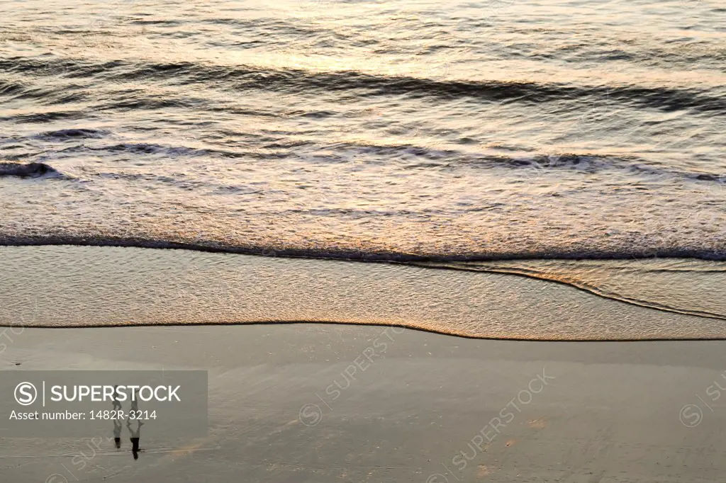 USA, California, La Jolla, Torrey Pines State Natural Reserve and State Beach, Couple walking on beach