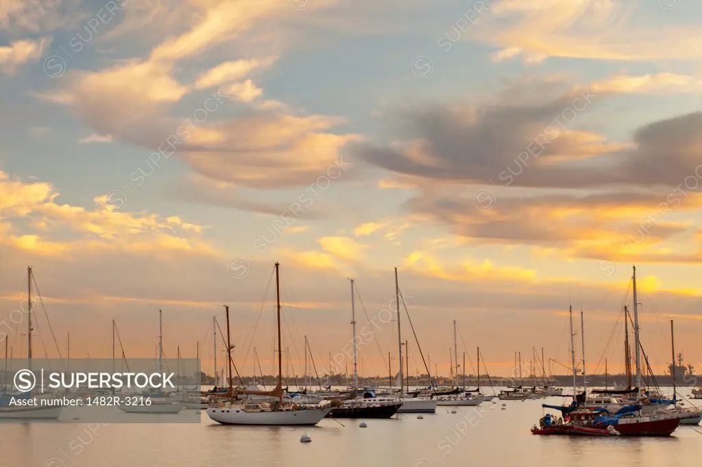 USA, California, San Diego, Embarcadero, Sailboats in harbor at sunset