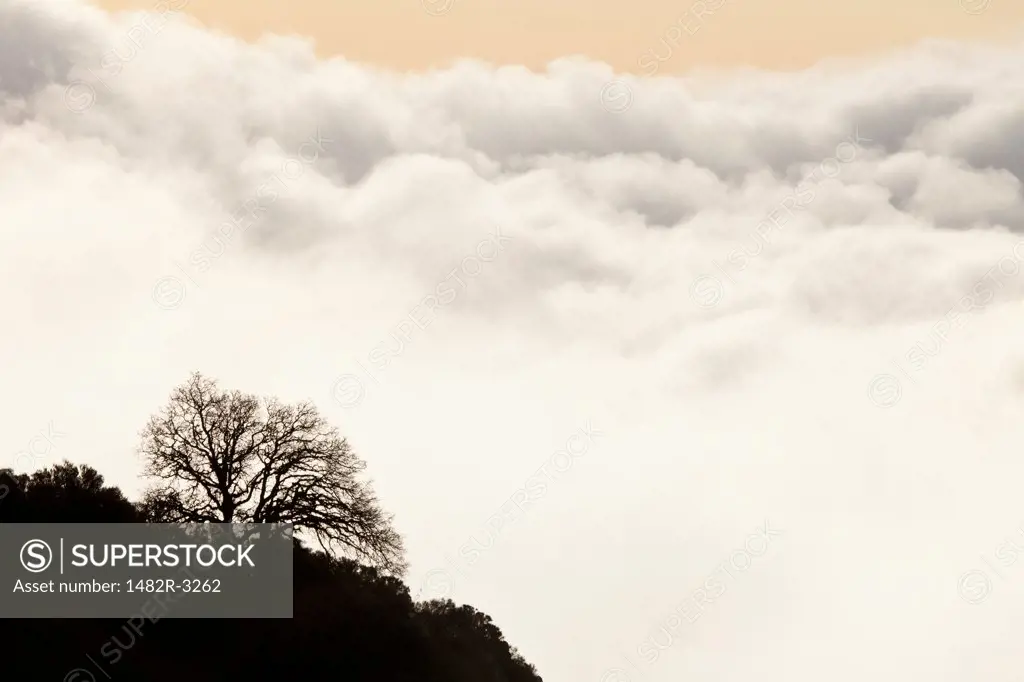 USA, California, Morning clouds, Mount Diablo State Park