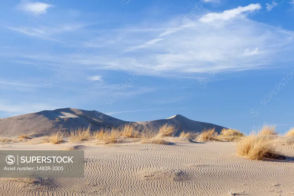 USA, California, Mohave National Preserve, Kelso Dunes