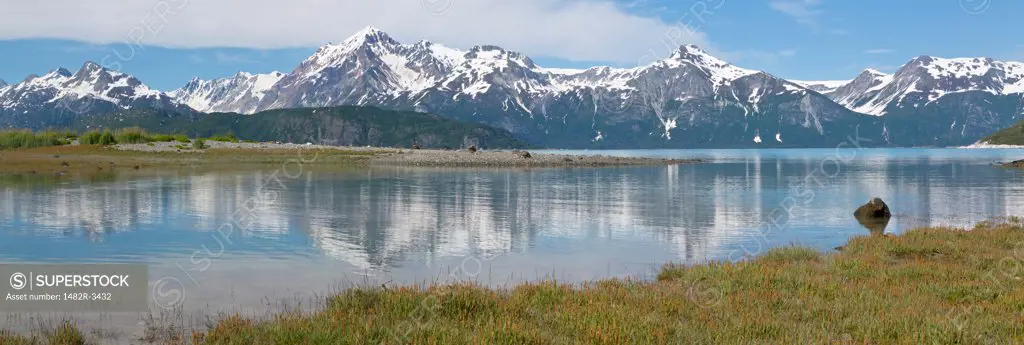 Tidal flats, Reid Glacier, Glacier Bay National Park, Alaska, USA
