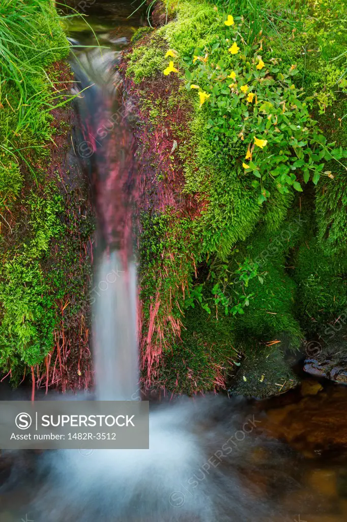 Miniature waterfall, Ansel Adams Wilderness, Inyo National Forest, California, USA