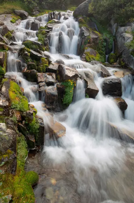 Stream flowing through rocks in a lake, Ediza Lake, Ansel Adams Wilderness, Inyo National Forest, California, USA