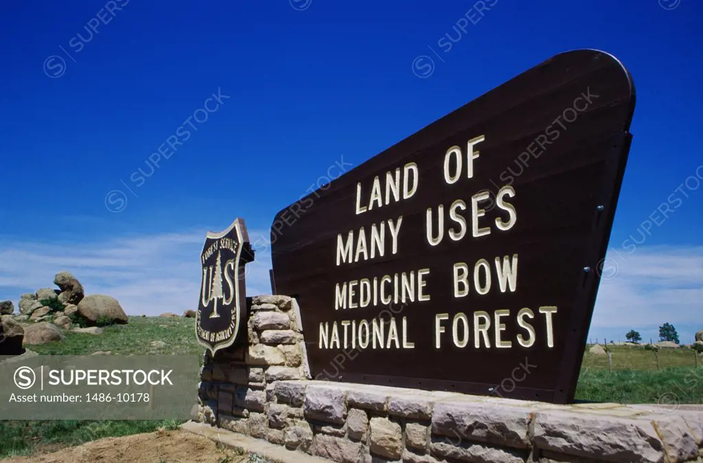 Medicine Bow National Forest Wyoming USA