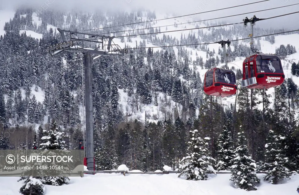 Low angle view of two overhead cable cars, Jackson Hole, Wyoming, USA