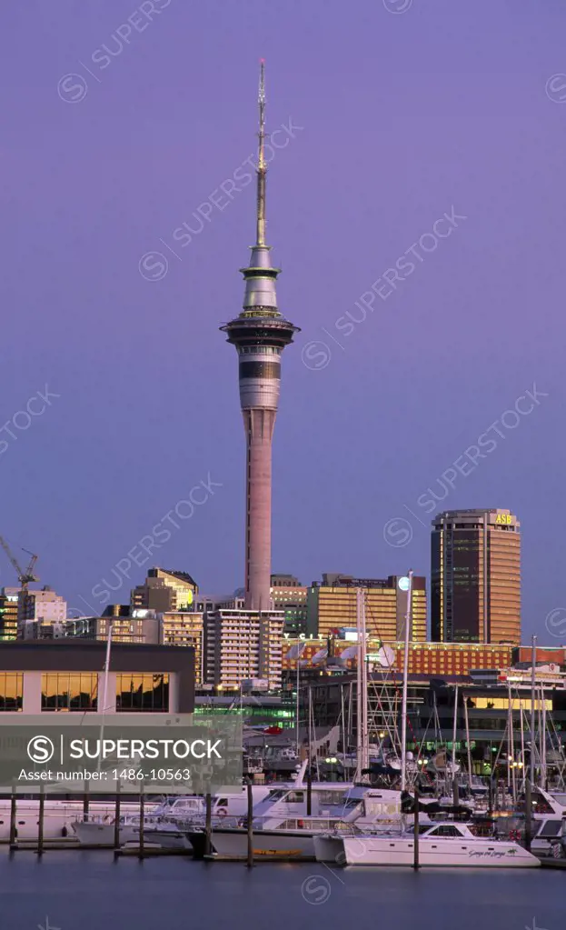Buildings on the waterfront, Sky Tower, Auckland, New Zealand