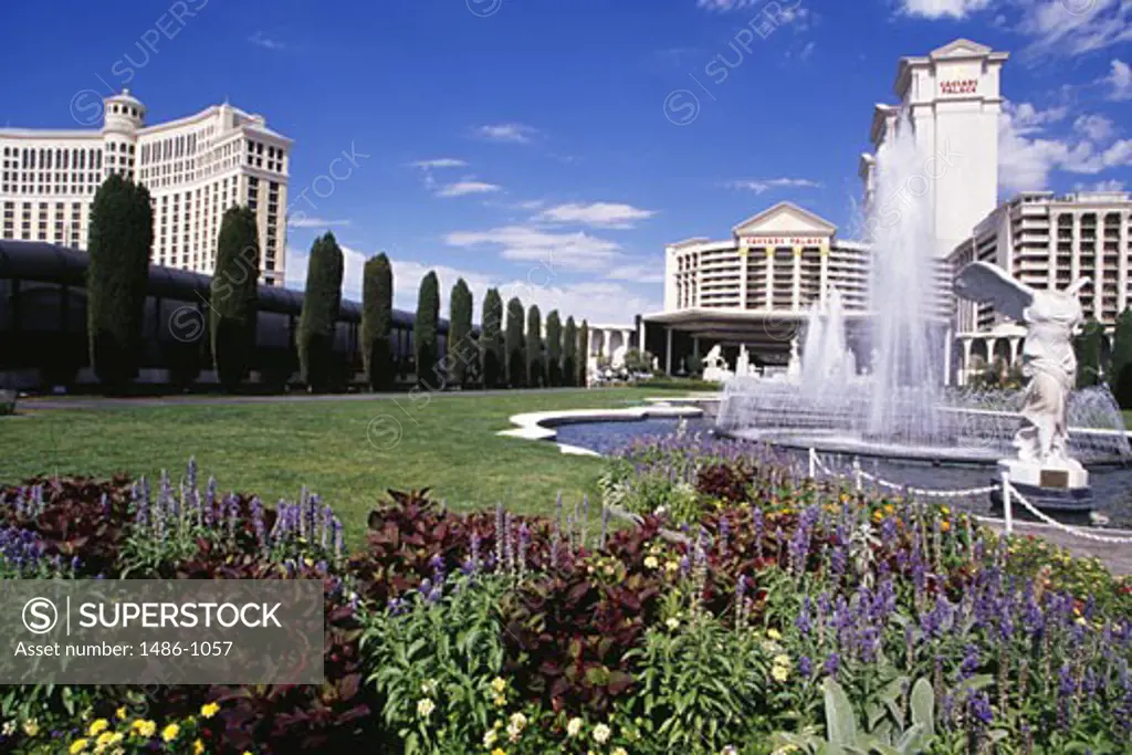 Hotels in a city, Caesars Palace, Bellagio Resort And Casino, Las Vegas, Nevada, USA