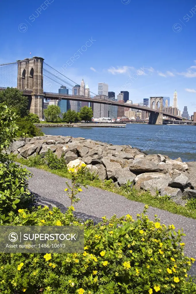 Park on the waterfront, Brooklyn Bridge Park, Dumbo District, Brooklyn, New York City, New York, USA