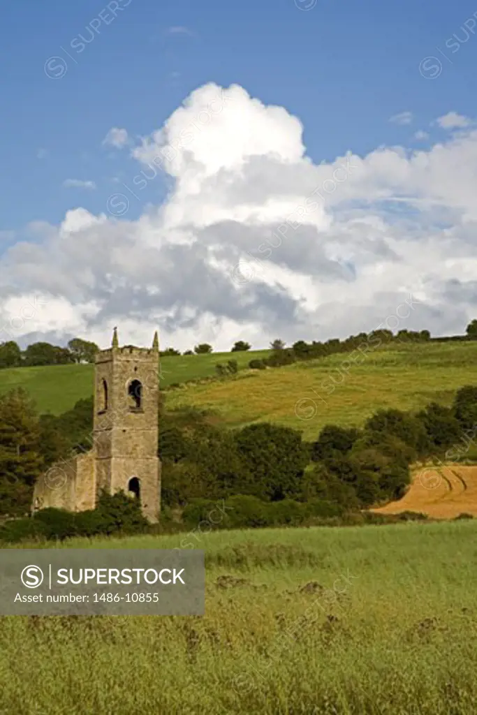Church on a landscape, Killamery Cross, County Kilkenny, Leinster Province, Ireland
