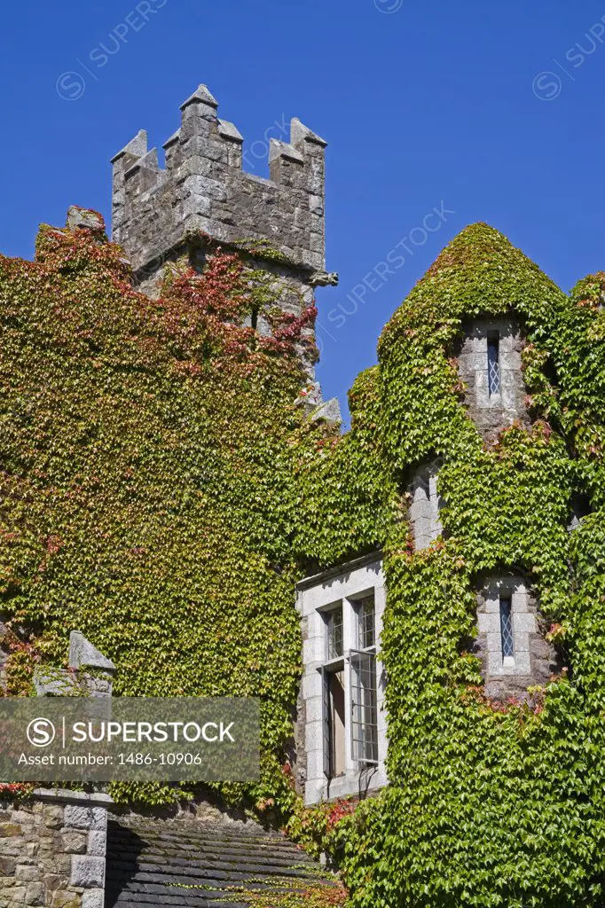 Low angle view of a castle covered with ivy, Waterford Castle, County Waterford, Munster Province, Ireland