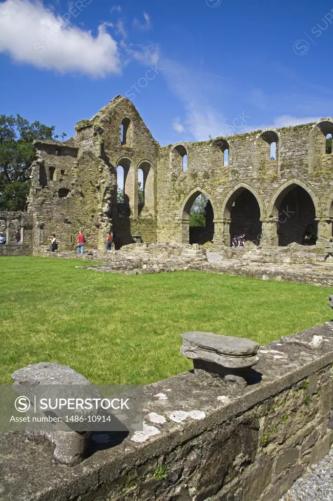 Ruins of a church, Jerpoint Abbey, County Kilkenny, Leinster Province, Ireland