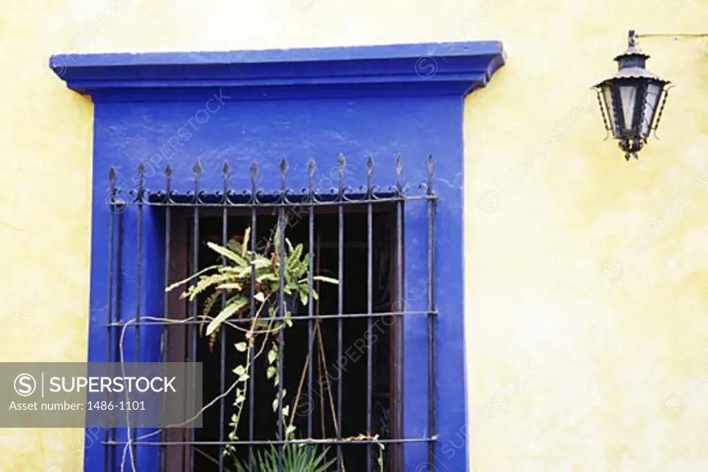 Close-up of the window of a house, Mazatlan, Sinaloa, Mexico