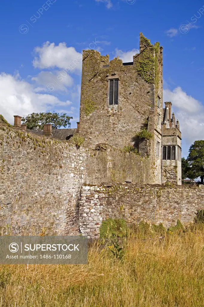 Ruins of a castle, Ormonde Castle, Carrick-on-Suir, County Tipperary, Munster Province, Ireland