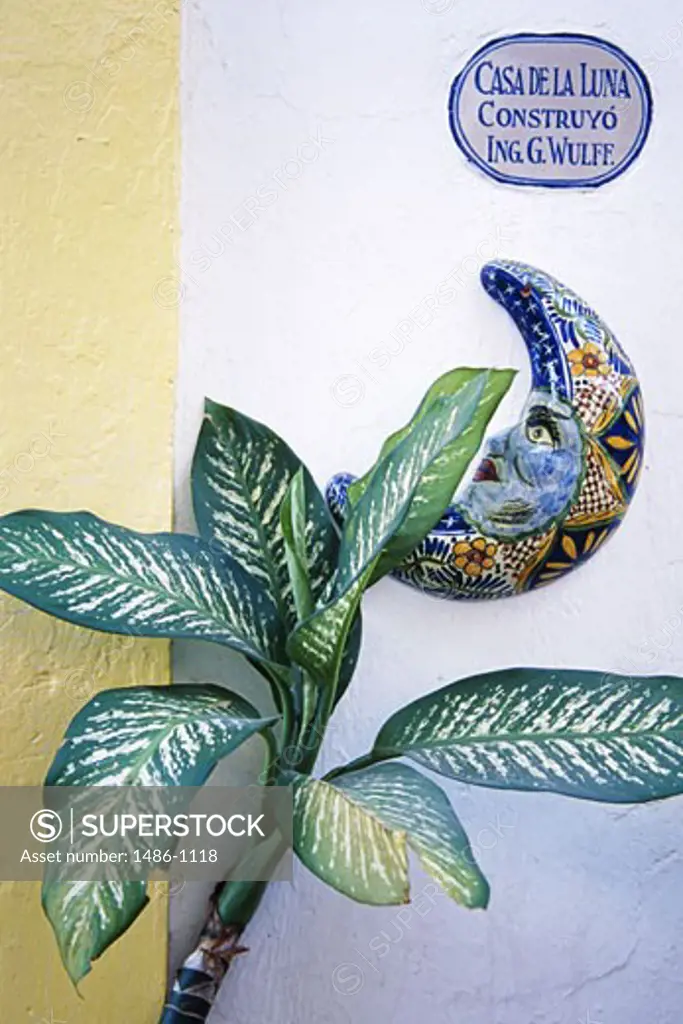 Showpiece on a wall, Puerto Vallarta, Mexico