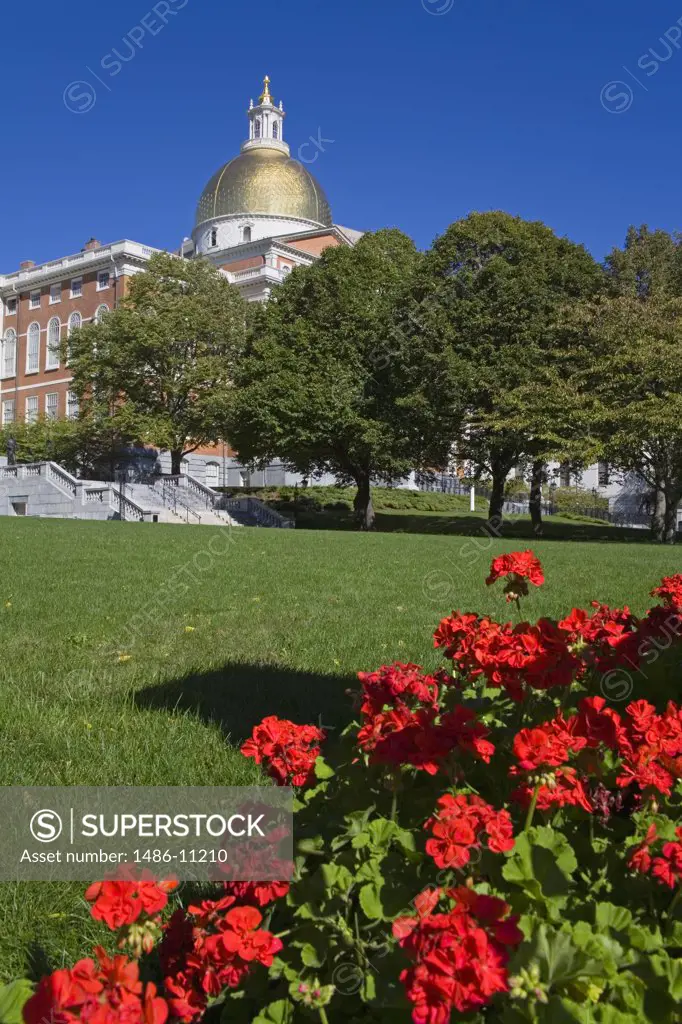 Flowers in a park with a government building in the background, Massachusetts State House, Boston, Massachusetts, USA