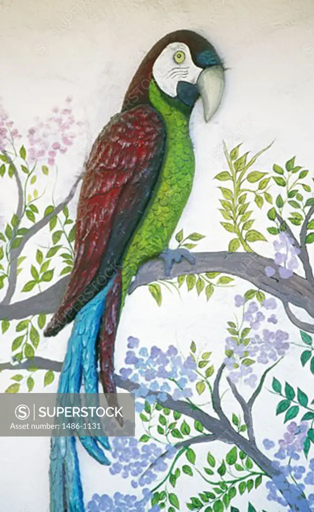 Close-up of a painting of a parrot, Puerto Vallarta, Mexico