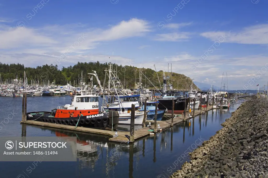 Fishing boats at a harbor, Anacortes, Skagit County, Washington State, USA