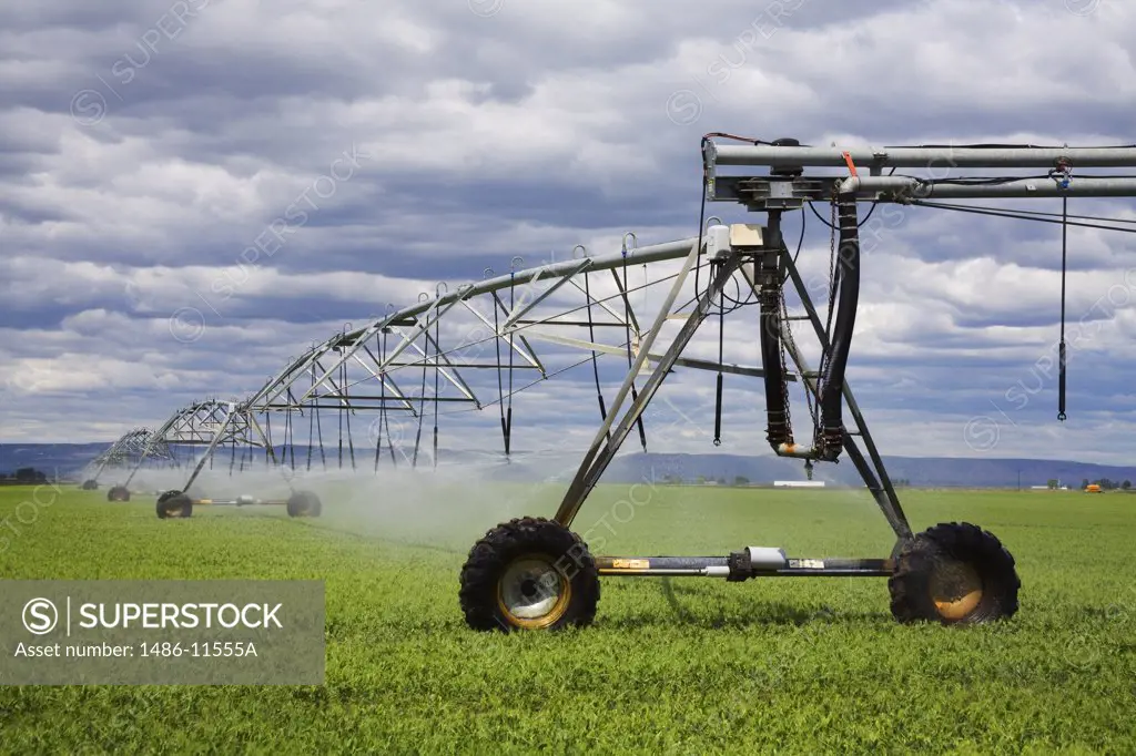 Agricultural sprinklers in a field, Moses Lake, Grant County, Washington State, USA