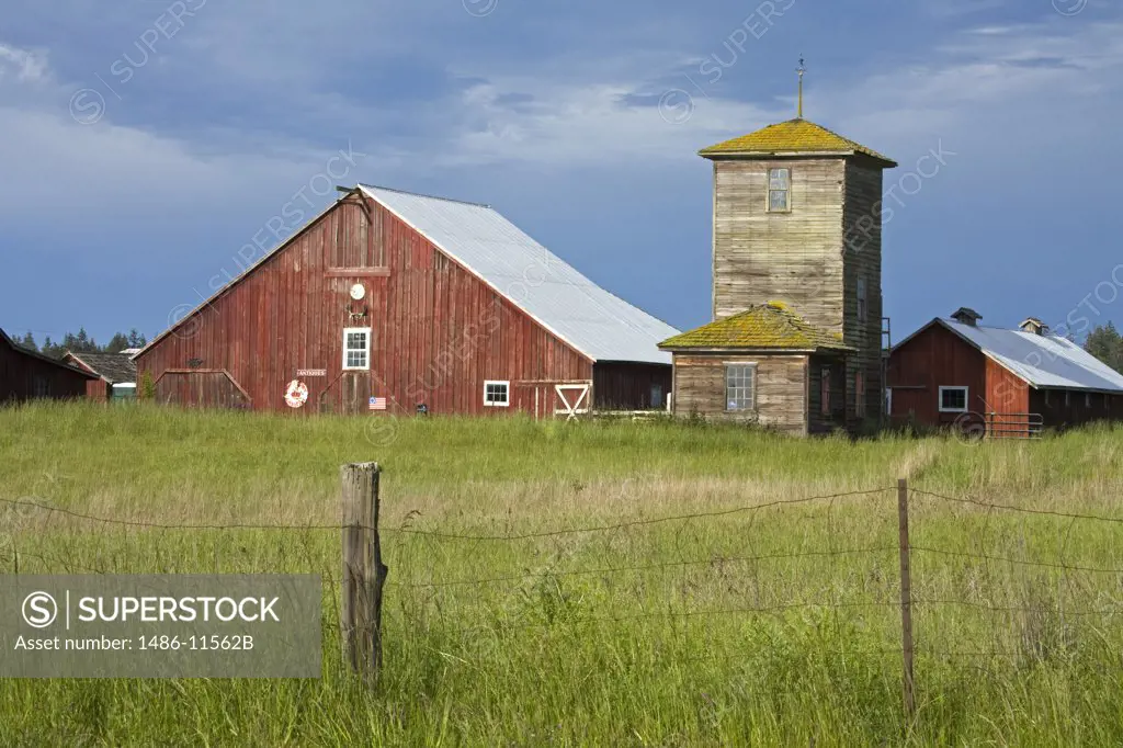 Barns in a field, Salmagundi Farm, Whidbey Island, Island County, Washington State, USA