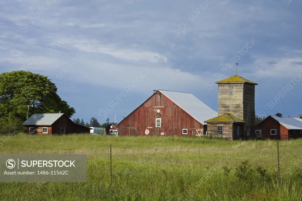 Barn in a field, Salmagundi Farm, Whidbey Island, Washington State, USA