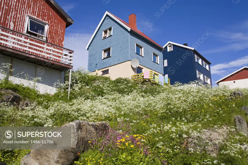 Low angle view of houses, Honningsvag Port, Honningsvag, Mageroya Island, Nordkapp, Finnmark County, Norway
