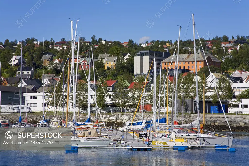Yachts at a marina, Tromso, Toms County, Nord-Norge, Norway