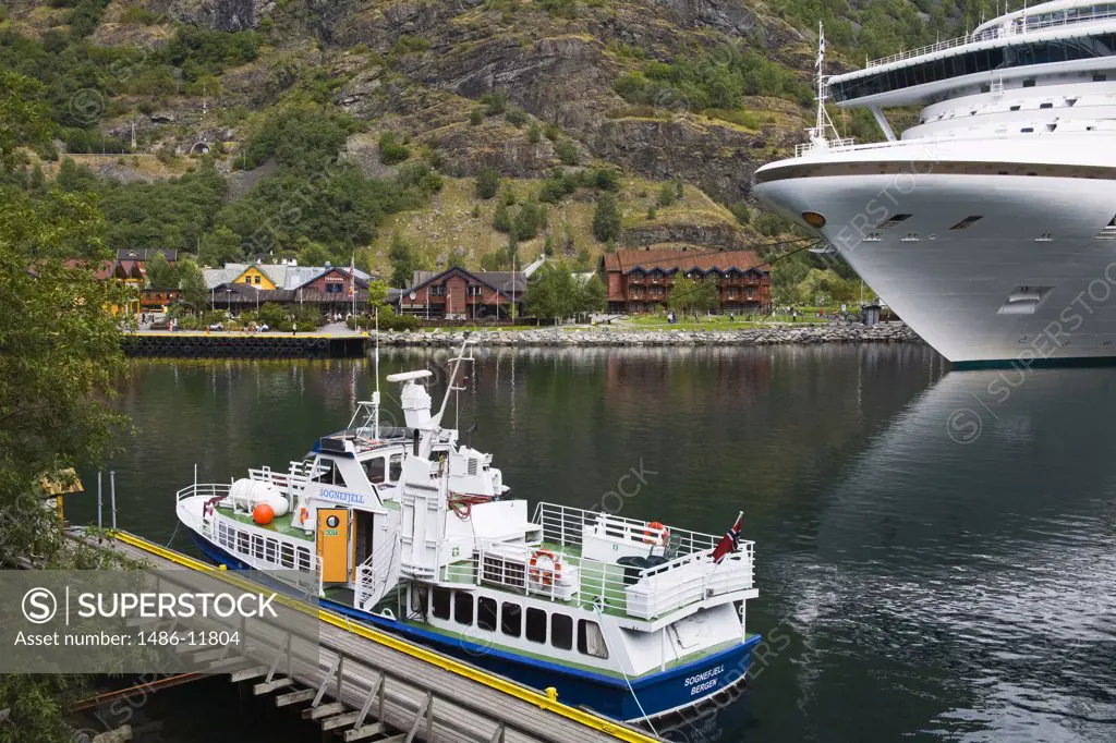 Tourboat and a cruise ship in a fjord, Grand Princess, Flam, Aurlandsfjord, Sogn Og Fjordane, Norway