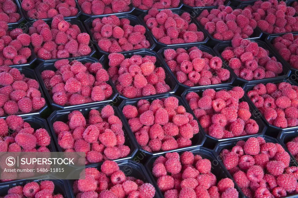Raspberries for sale at a market stall, Torget Market, Bergen, Hordaland County, Norway