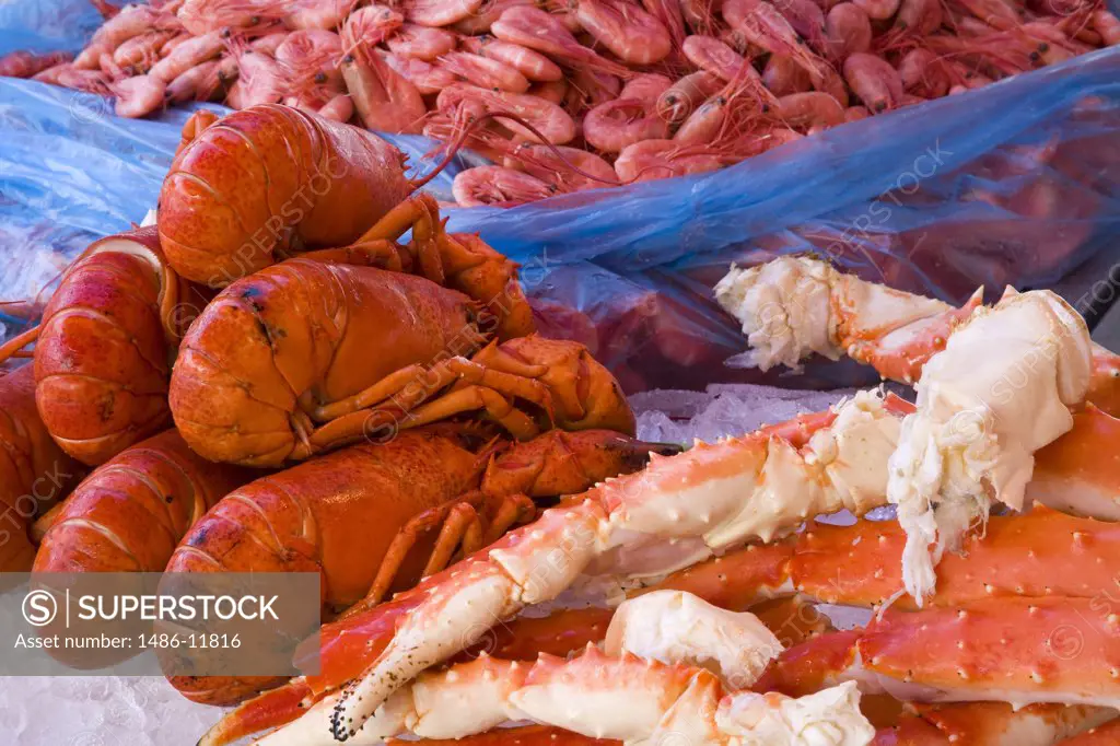 Seafood at a market stall, Torget Fish Market, Bergen, Hordaland County, Norway