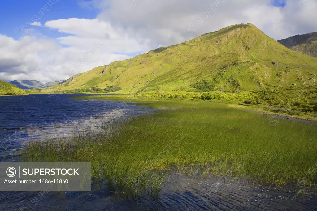 Hill at the lakeside, Lake Kylemore, Connemara, County Galway, Connacht Province, Republic of Ireland