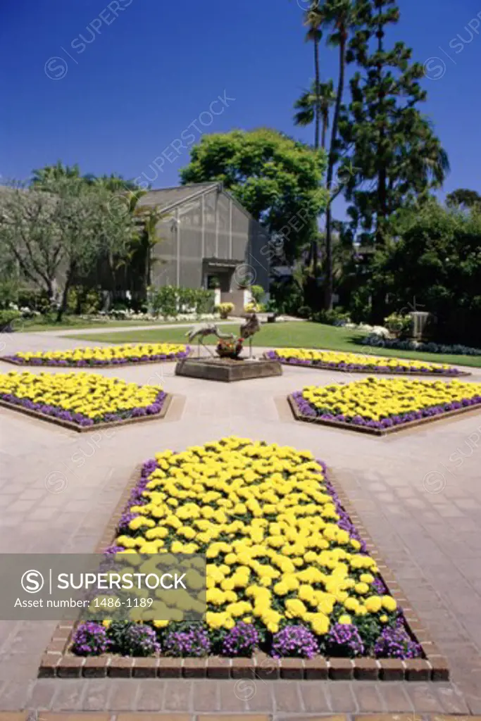 Flowers in a botanical garden, Sherman Library and Gardens, Corona del Mar, California, USA