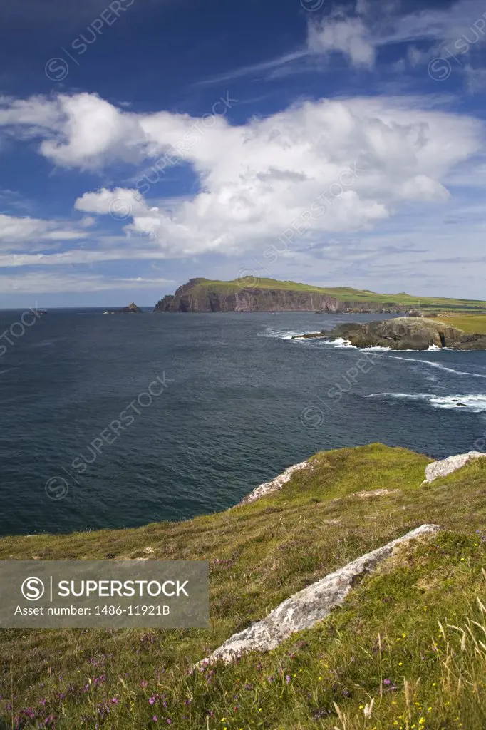 High angle view of a coastline, Clogher Head, Dingle, Dingle Peninsula, County Kerry, Munster Province, Ireland
