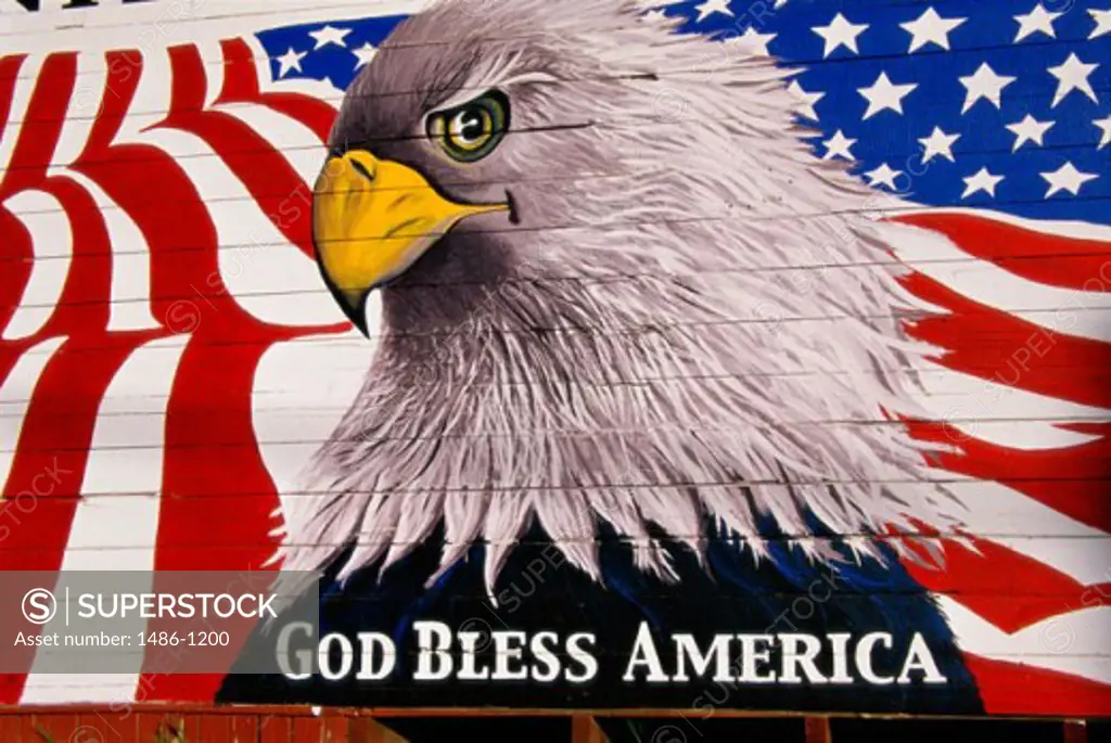 Close-up of a mural of a Bald Eagle and an American flag painted on a shed, California, USA