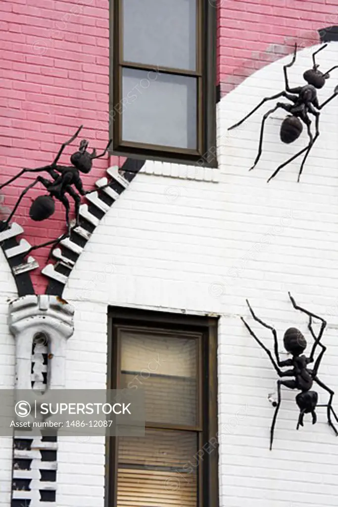 Ant sculptures on a building wall, South Street, Philadelphia, Pennsylvania, USA