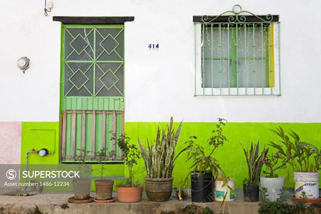 Potted plants outside a house, Puerto Vallarta, Jalisco, Mexico