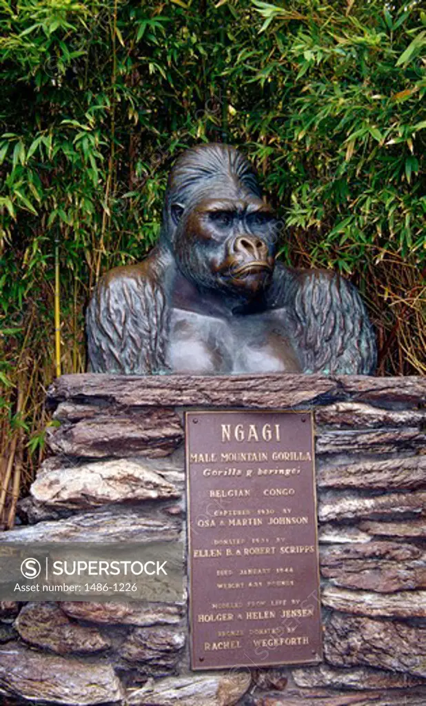 USA, California, San Diego, San Diego Zoo, Gorilla statue, Holger and Helen Jensen