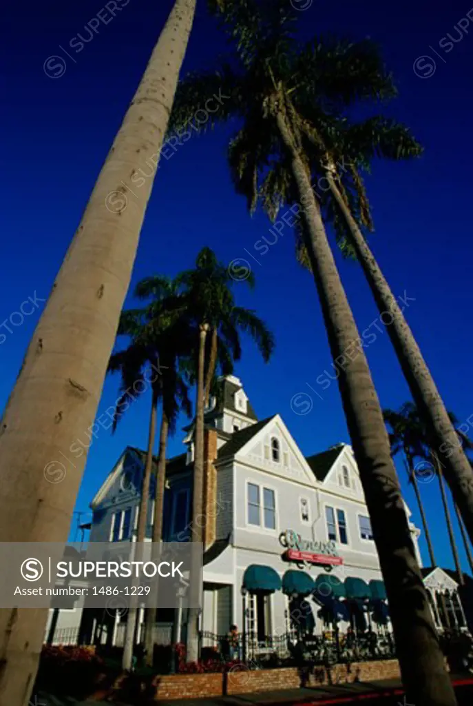 Low angle view of palm trees in front of Neiman's Restaurant, Carlsbad, California, USA