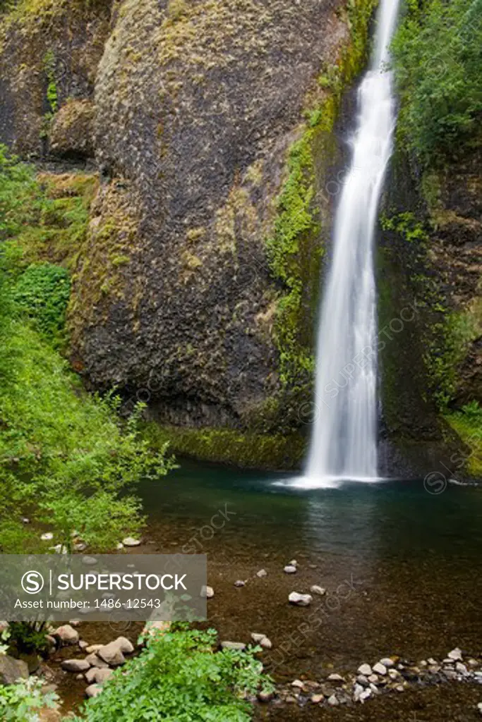 Waterfall in a forest, Horsetail Falls, Columbia River Gorge, Portland, Oregon, USA