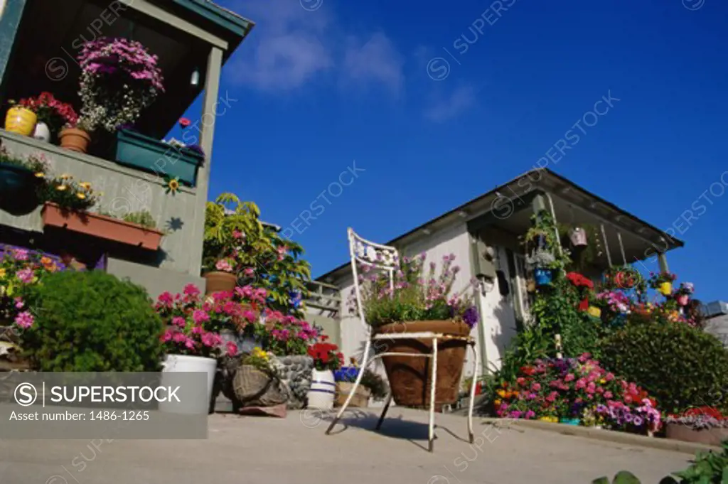 Low angle view of potted plants hanging on the porches of buildings, San Diego, California, USA