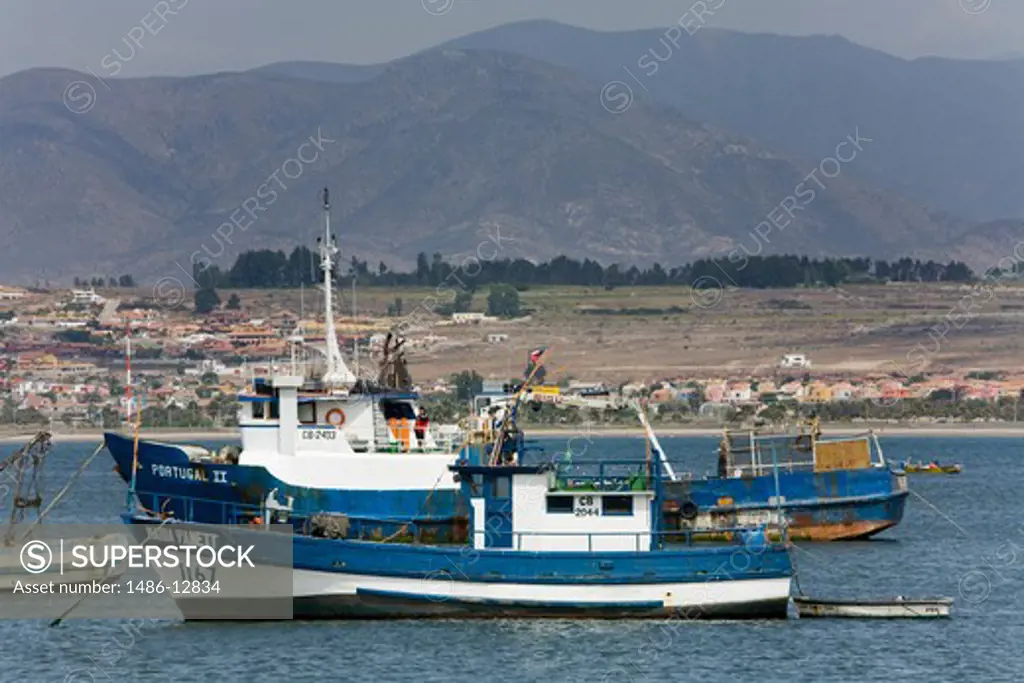 Fishing boats moored at a harbor, Coquimbo Port, Coquimbo, Norte Chico, Chile
