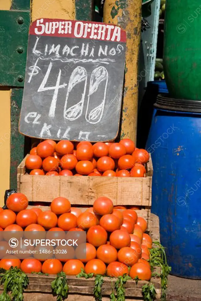 Tomatoes in a market stall, Cardonal Market, Valparaiso, Chile