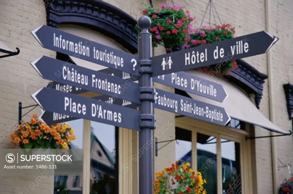 Close-up of street name signs in front of a building, Quebec City, Quebec, Canada
