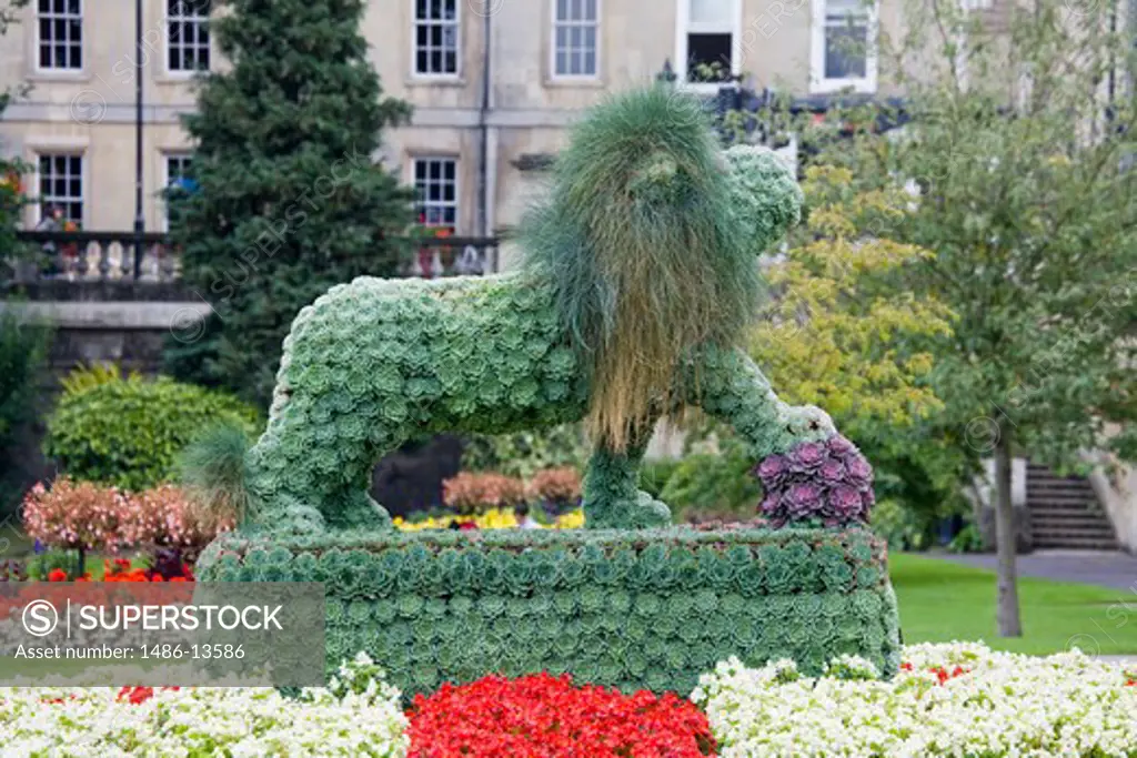 Lion topiary at a garden, Parade Gardens, Bath, Somerset, England