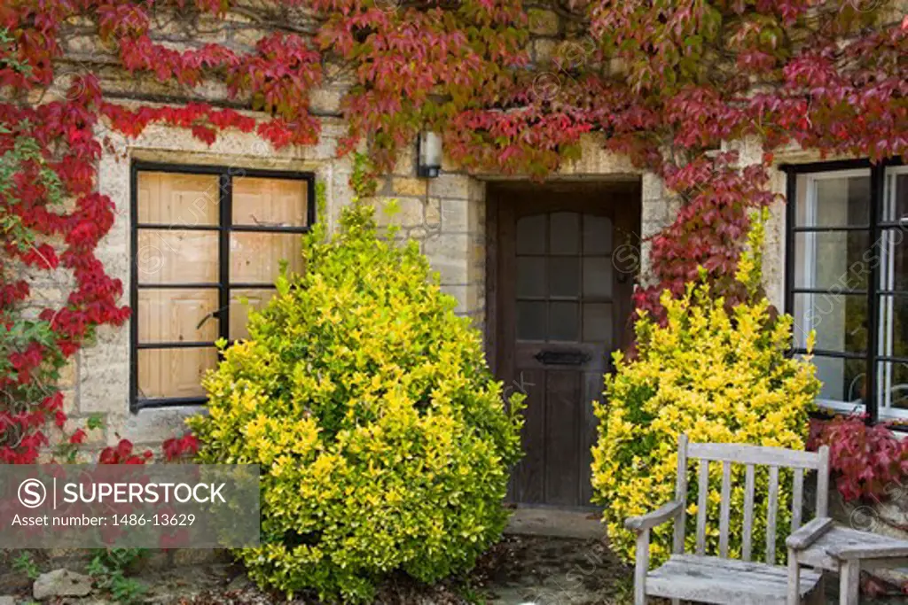 Ivy covered cottage, Bourton-on-the-Water, Gloucestershire, England